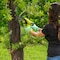 Sun Joe 24V iON+ Cordless 3000-RPM One-Handed Chain Saw Kit w/2.0-Ah Battery & Charger 24V-HCS-LTE - alternate 6